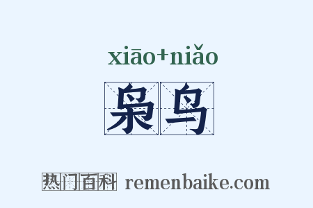 枭鸟是什么意思的图片
